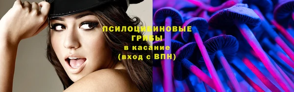 стафф Зеленодольск